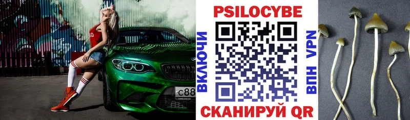 где найти Конаково Галлюциногенные грибы мухоморы