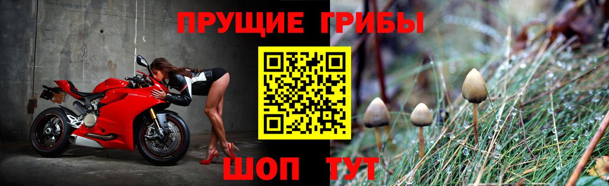 Галлюциногенные грибы Psilocybe  Галлюциногенные грибы MAGIC MUSHROOMS  Конаково  Вход с VPN 