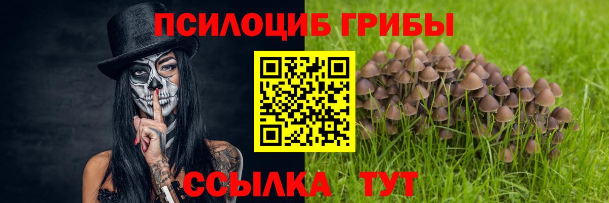 Галлюциногенные грибы прущие грибы Конаково